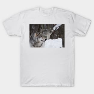 Gray Wolves T-Shirt